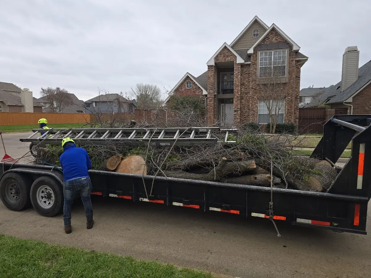 Expert Lot Clearing with proper safety equipment in Providence
